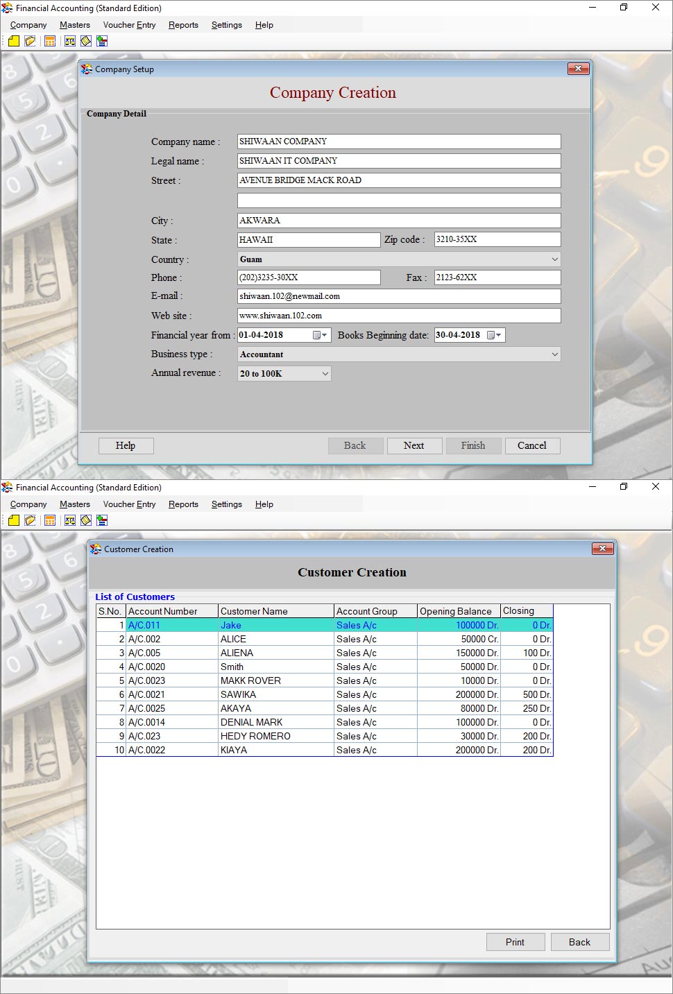 Accounting software maintains large and small business financial database record